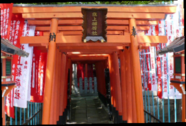 Torii-1